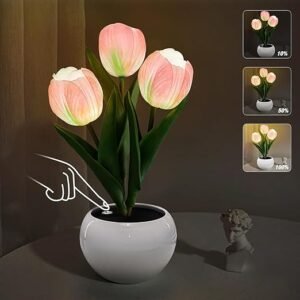 Tulip Lamp Lights