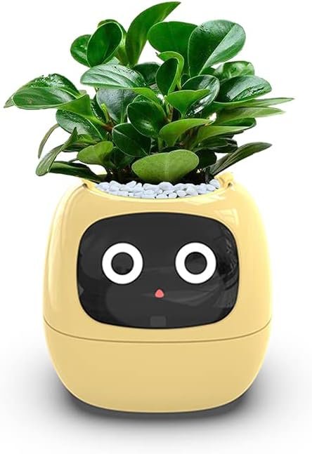 Ivy Smart Planter